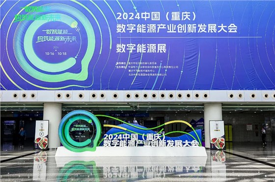 數(shù)字能源大會-會議活動-展覽展示 (10)