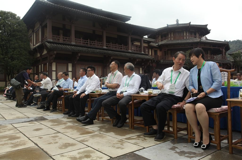 都勻（國(guó)際）茶人會(huì) (7)
