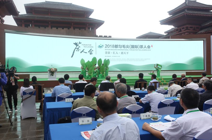 都勻（國(guó)際）茶人會(huì) (8)