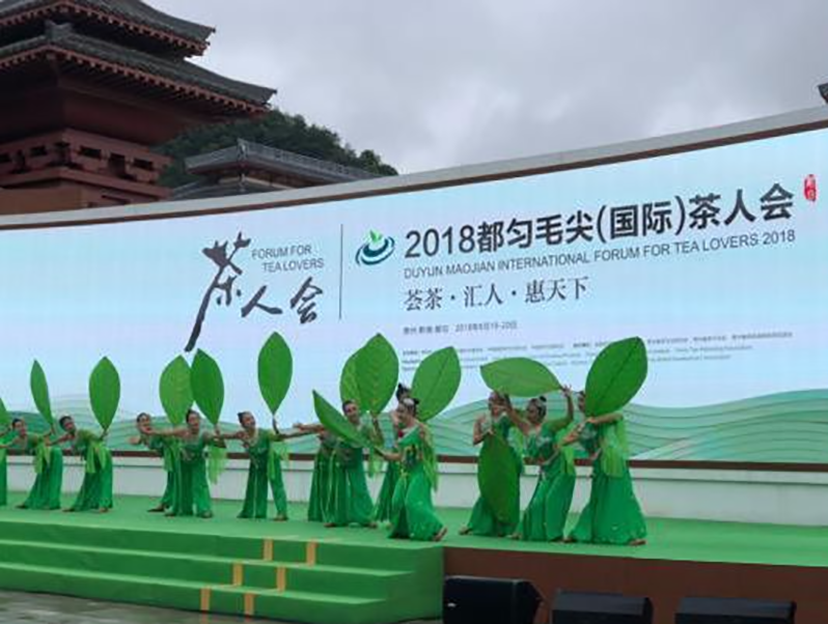 都勻（國(guó)際）茶人會(huì) (9)