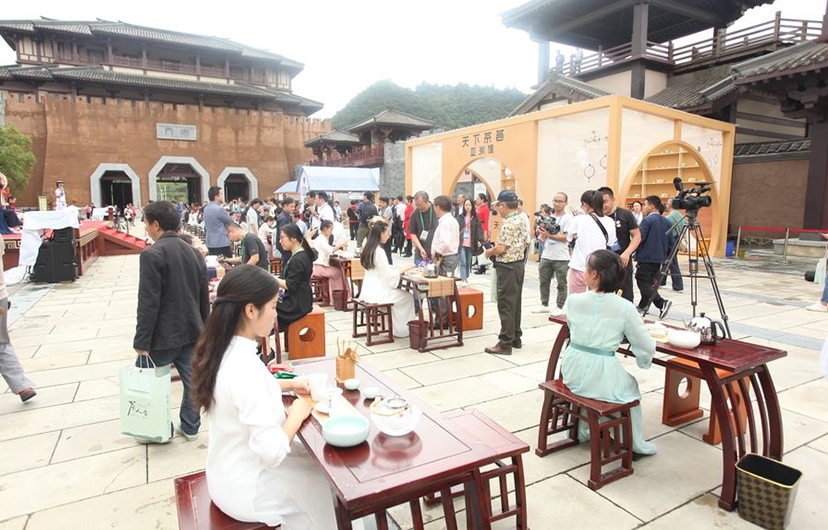 都勻（國(guó)際）茶人會(huì) (20)