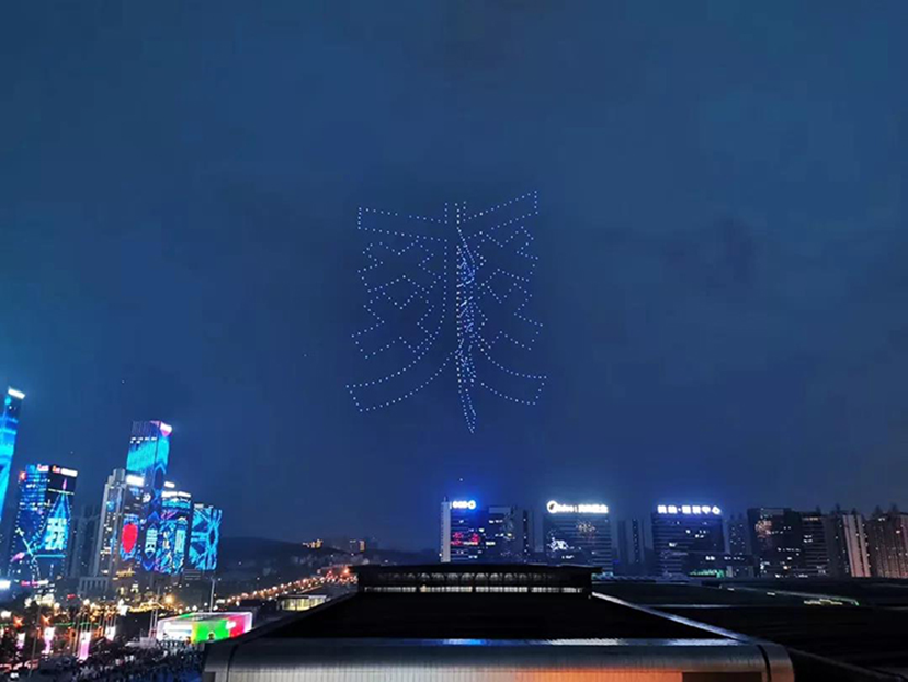 2019數(shù)博會會展服務 (36)